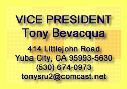 Vice President